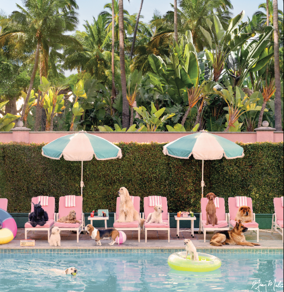 SPECIAL ORDER - Bespoke X Gray Malin Laguna Table - Pool Day, The Beverly Hills Hotel