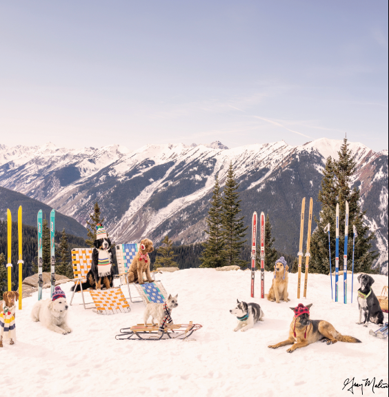 SPECIAL ORDER - Bespoke X Gray Malin Laguna Table - Dogs of Aspen