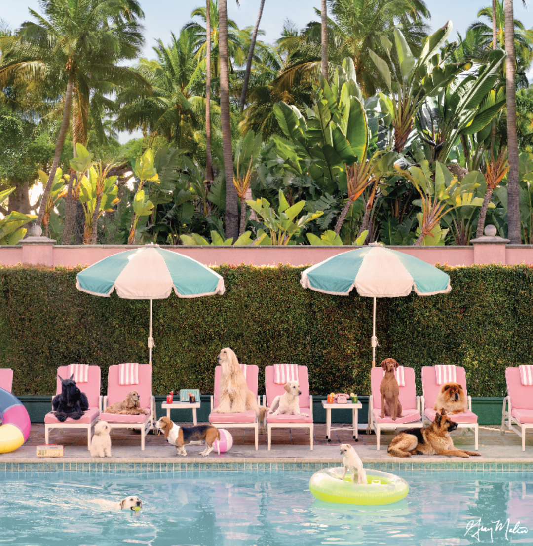 SPECIAL ORDER - Bespoke X Gray Malin Palm Beach All Acrylic Gray Malin Bundle - Pool Day, The Beverly Hills Hotel