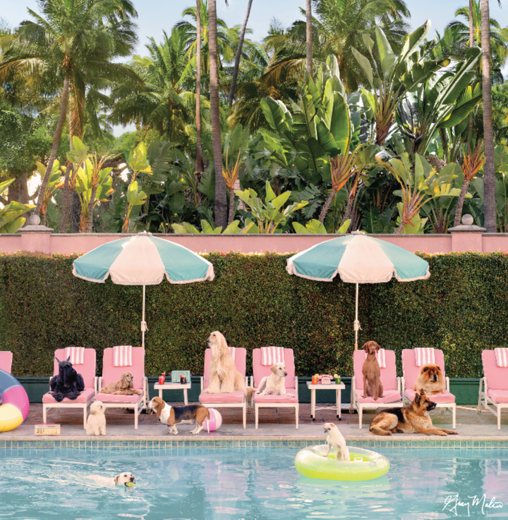SPECIAL ORDER - Bespoke X Gray Malin Palm Beach All Acrylic Gray Malin Bundle - Pool Day, The Beverly Hills Hotel