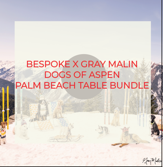 SPECIAL ORDER - Bespoke X Gray Malin Palm Beach All Acrylic Gray Malin Bundle - Dogs of Aspen