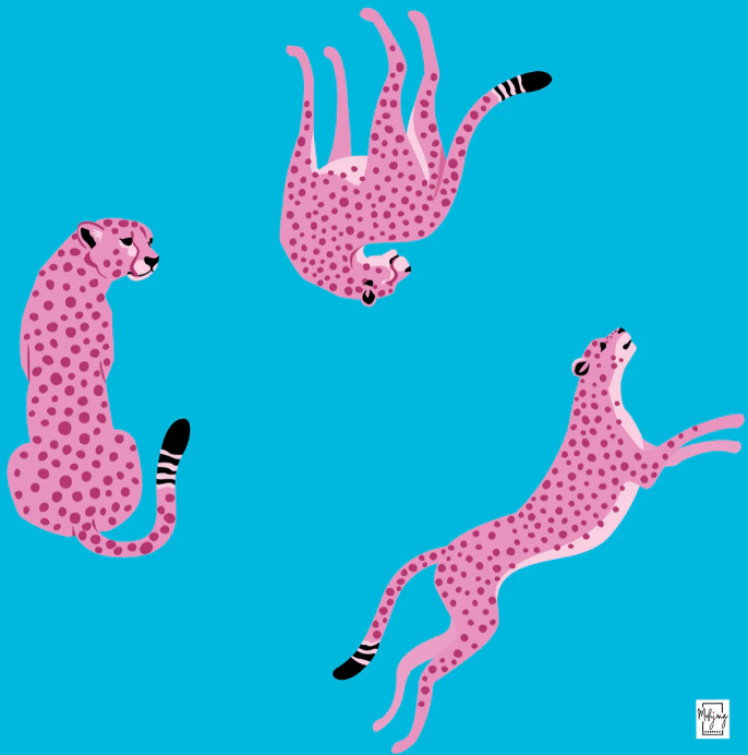 The Laguna Flirty Leopards Bundle - Vivid Blue