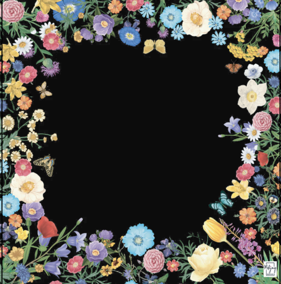 COMING SOON - MIDNIGHT GARDEN